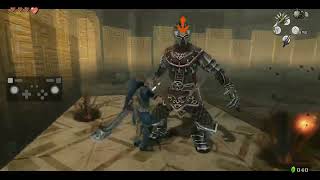 Hyrule Castle Darknut Fight