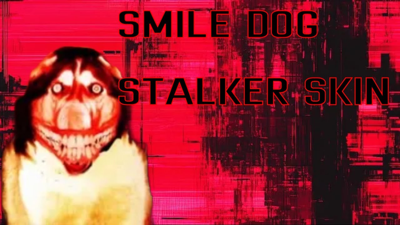 Winning with the Smile dog Stalker skin - Pwned by 