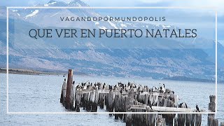 Ambos vacío Ya Qué ver en Puerto Natales - Vagando Por Mundopolis