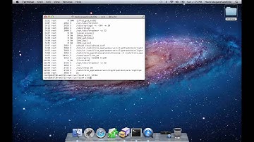 Version1-Step3-Interface.mov