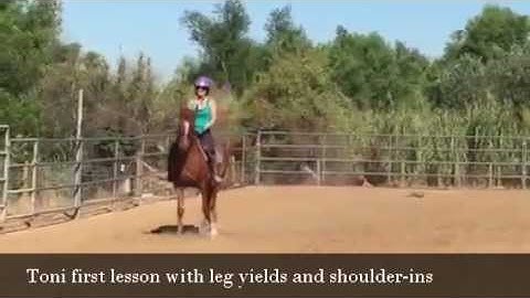 Leg Yield/ Shoulder-in Lessons July 