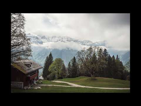 The Hungry Ghost I Think I Can Help You 1 Hour 