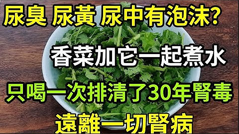 尿臭 尿黃尿中有泡沫？那是腎臟毒素嚴重超標了！香菜加它一起煮水喝，一次就能排清30年腎毒，讓你腎臟年輕30歲 - 天天要聞