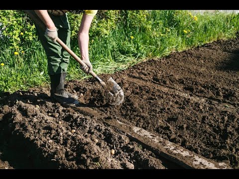 რამდენად სწორადაა გაწერილი ბიოწარმოების დაფინანსების კრიტერიუმები