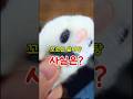 발바닥 꼬순내의 충격적 비밀? #고양이 #cat #냥선생