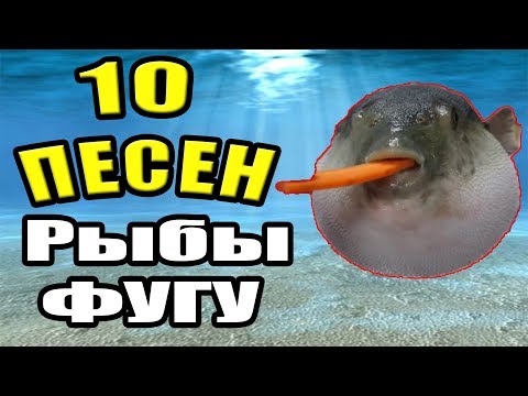 Video: 10 Dejstev O Ribah Puffer