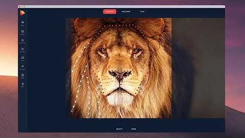 ✅ How to Animate Hair with PhotoVibrance? Top Video Tools