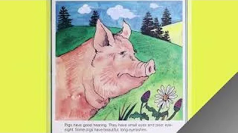Pigs read by Mr  Matt Colopy