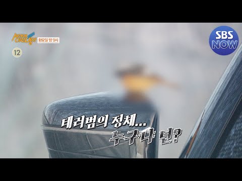 [<strong>예고</strong>] 낭만 가득한 올드 카 수집가, <strong>그리고</strong> 비밀 가득한 고급 세단 테러 <strong>사건</strong> 추적기! #순간포착세상에이런일이 #WhatonEarth | SBSNOW