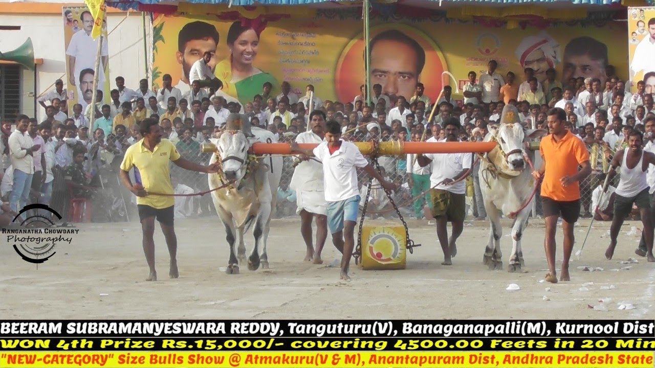 Tanguturu Reddy Rakesh 2019 ATMAKUR