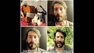 Rooting & Growing - Josh Fox