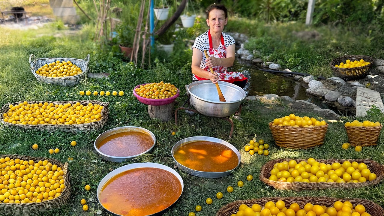 Harvesting Yellow Plums for Sweet Ice Cream & Hashaf 🍦💛🍑