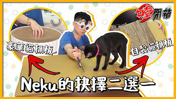 Neku又有新玩具了？最新款貓抓主機板爆誕上市！ft.華擎科技