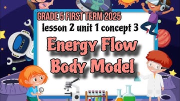 lesson 2 unit 1 concept 3 energy flow body model| science 2025 grade 5 el-moasser| ساينس الصف الخامس