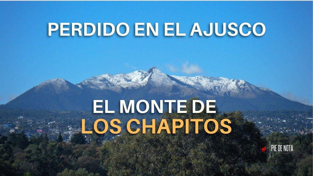 Me Perdí Buscando Jugar con mi Perro en el Ajusco y Me Encontré al Narco