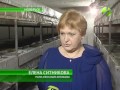 Всего за год грибная ферма кардинально изменила жизнь молодых людей в Ноябрьске