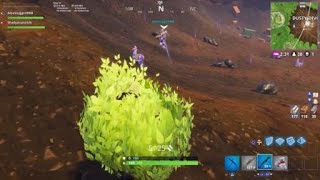 LLAMA !!