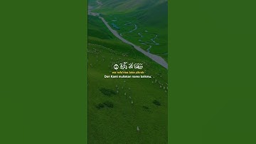 ماشاء الله تبارك الرحمن تلاوة خاشعة و صوت عدب #heartofthequran #القران_الكريم #nature #المغرب #مصر