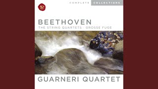 String Quartet No. 6 in B-Flat Major, Op. 18, No. 6: I. Allegro con brio