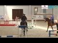 Мастер-класс по конкуру с Францем Йозефом Дальманном в Maxima Stables 17.02.15 - 2