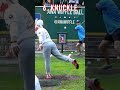 What Pitch You Hitting?🤔 #dingersornothing #wiffleball #baseball #shorts