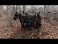 Logging With Horses, a few short 3 abreast clips. 61