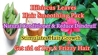 Hibiscus Leaves Hair Smoothing Pack |Tamil |Natural Conditioner & Reduce Dandruff |Dry & Frizzy Hair
