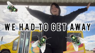 We Left Our Campsite Because Flies Kept Attacking Us