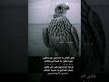 الشاعر نواف الحيدري خلي البشر ياصاحبي دوم يحكون مهما حكو ماهمنا في حكاهم قصائد