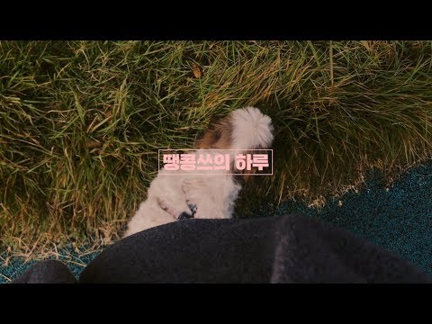 땡콩쓰의 하루 | Honeykki 꿀키