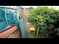 Atrocious Laneway Mess Rescued | Overgrown Garden Transformation | Without Music