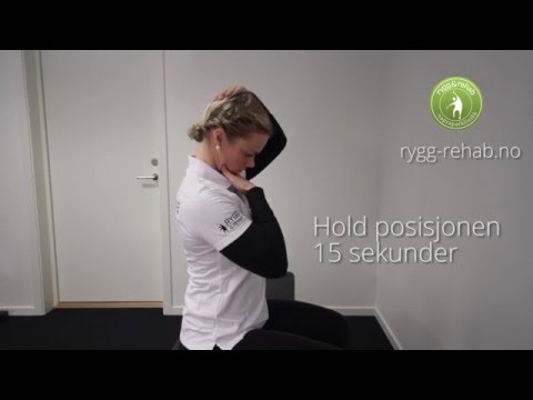 Video: Elgen, Som Var Vendt Mot Oss, Snudde Seg Mot Skogen Og Strakk Nakken Kraftig Ut - - Alternativ Visning