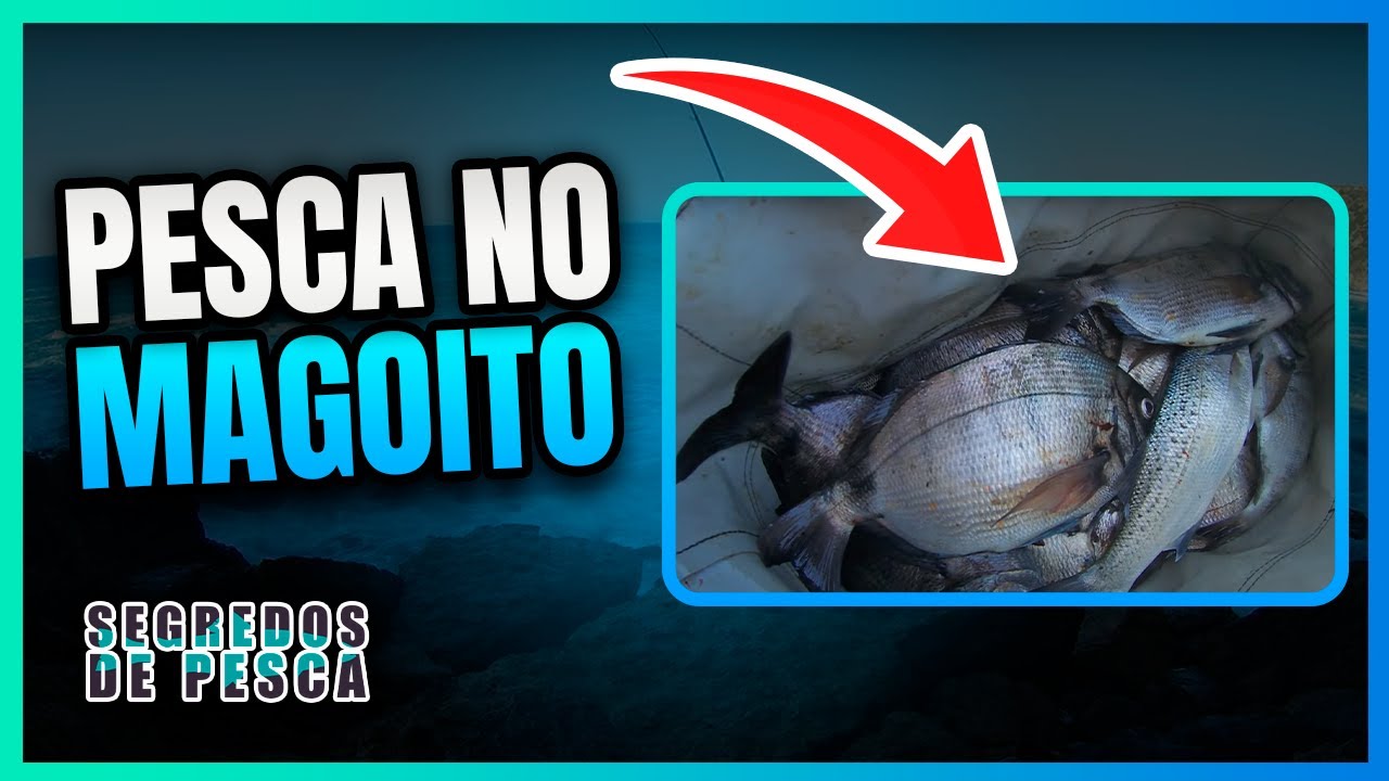 Pesca do SARGO Da Ericeira até ao Magoito