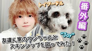 友達ん家のワンちゃんとスキンシップを図ってみた結果、完全に嫌われました。 Dog