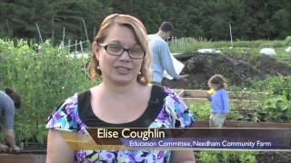 Needham Community Farm 2014