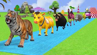 Paint Animals Duck With Lion Cow Tiger Hippo Elephant - Long Slide Game Mcr - 3d Funny Animation 392 screenshot 5