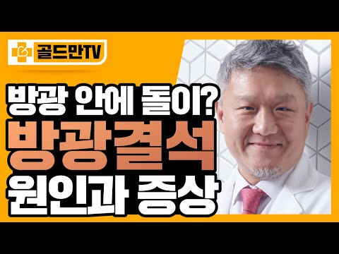 방광결석 진단과 치료방법은? (feat. 방광결석제거술)