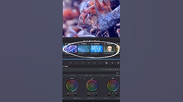 Color Grade Your ENTIRE Timeline!- DaVinci Resolve