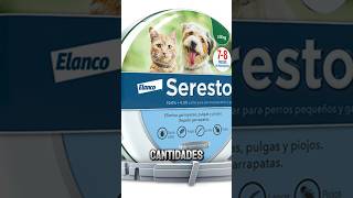 collar seresto antipulgas y garrapatas en perros y gatos #shorts #consejosveterinarios #seresto