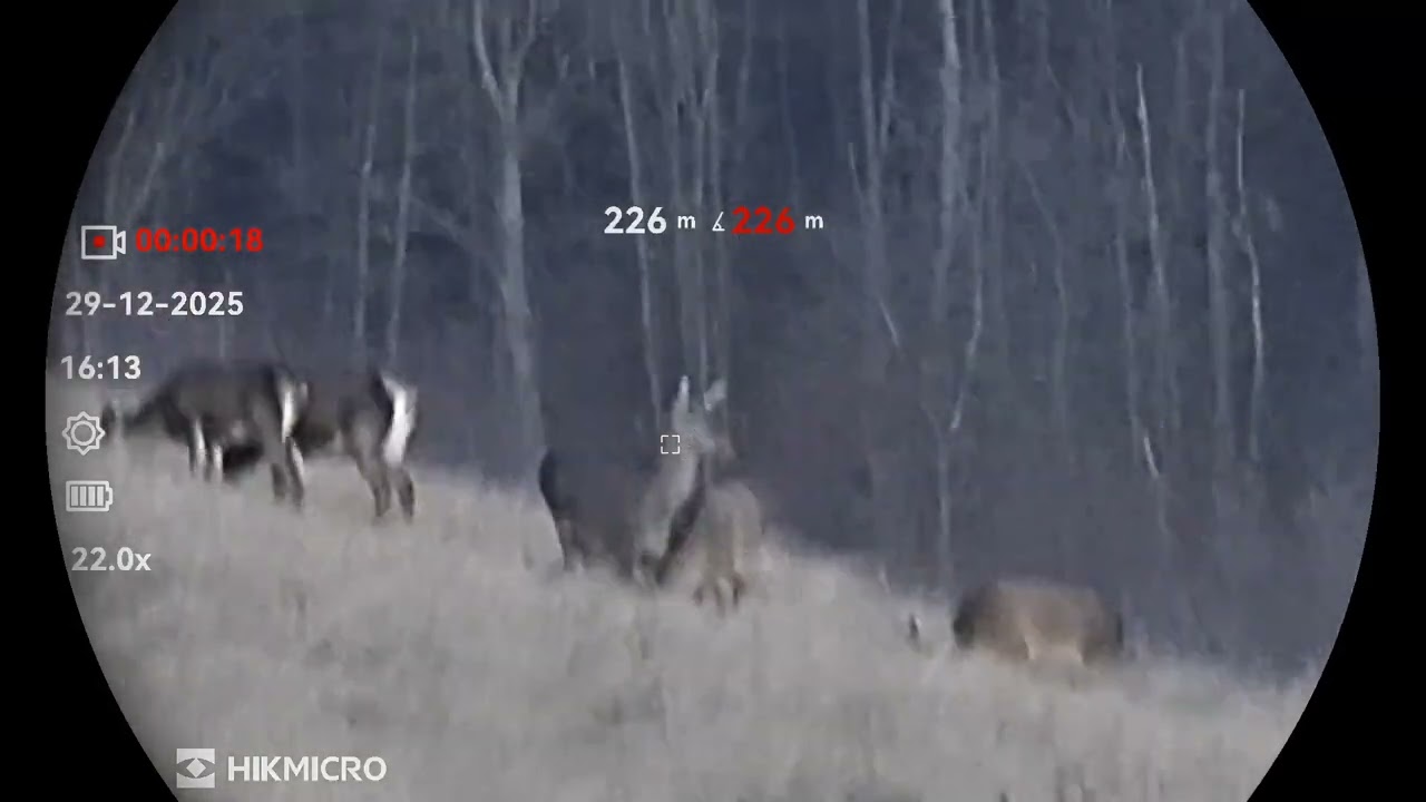 Hikmicro Habrok 4k HE25LN 