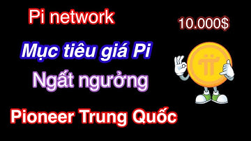 Giá Pi Network 314$ -1000$ ?| Tổng Cung 100 Tỉ Pi, Liệu Pi Có Khan Hiếm ?| Pi Network VN