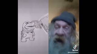 Wizard Skit Frog. What more could you want?