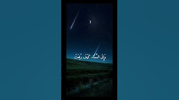 ﴿ أَفَلَا يَنظُرُونَ إِلَى الْإِبِلِ كَيْفَ خُلِقَتْ ﴾(سورة الغاشية، الآية 17)