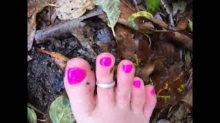 Barefoot Hiking | Fall Colors | Sunburst | Fog