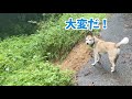 【我が家が緊急事態🚨】山の中のポツンと一軒家が孤立したので防災対策のための家庭用ポータブル蓄電池を検討してみました。