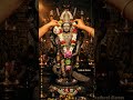 முருகனுக்கு மாலை போடும் காட்சி 🙏🦚❤️#முருகன் #பக்தி #முருகா #murugan #tamil #god #vadapalanimurugan
