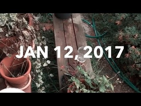 thursday, january 12th | a snap story