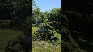 stage two work garden bonfire #fypシ #garden #birdsong #nature #gardening #work #fyp #gardening #fire