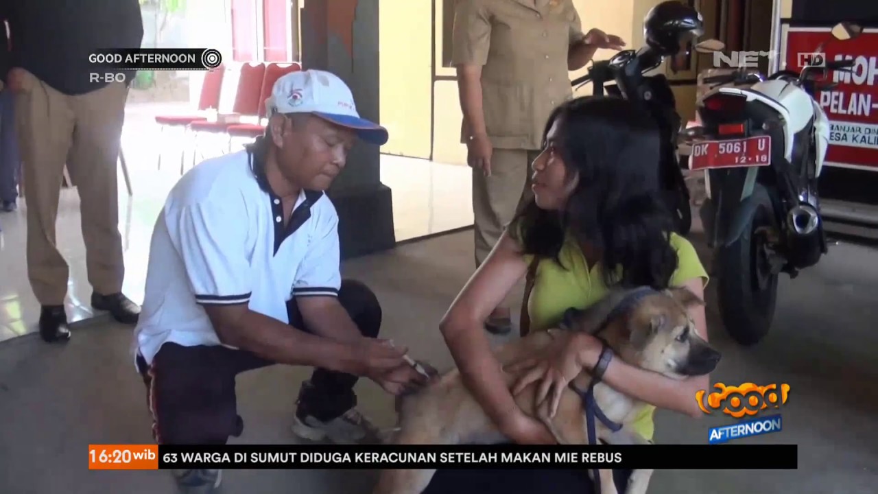 3 Anak Digigit Anjing Rabies Di Bali Youtube