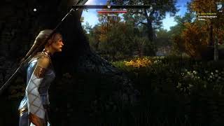 Elder Scrolls Online Ray Tracing RESHADE graphic preset like nearly Skyrim ENB preset